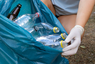 Recepción de materia prima